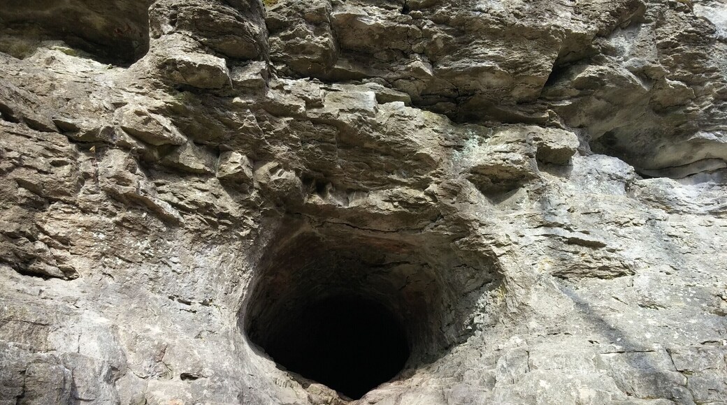 Just past the falls, there is a small crawl-able cave in the limestone cliff side. The cave probably goes 6-8 feet back before taking a left and heading an additional 10-12 feet. Beyond that, it gets a little narrow for my liking.