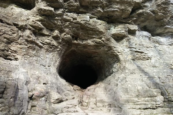 Just past the falls, there is a small crawl-able cave in the limestone cliff side. The cave probably goes 6-8 feet back before taking a left and heading an additional 10-12 feet. Beyond that, it gets a little narrow for my liking.