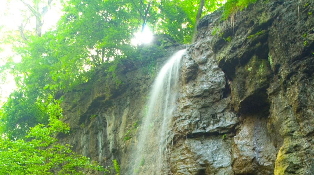 Amphitheater Falls, John Bryan State Park, Ohio