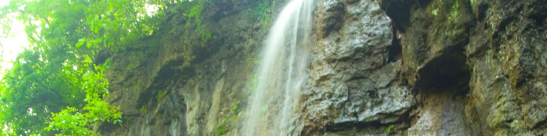 A waterfall cascading down a rocky cliff surrounded by lush greenery.