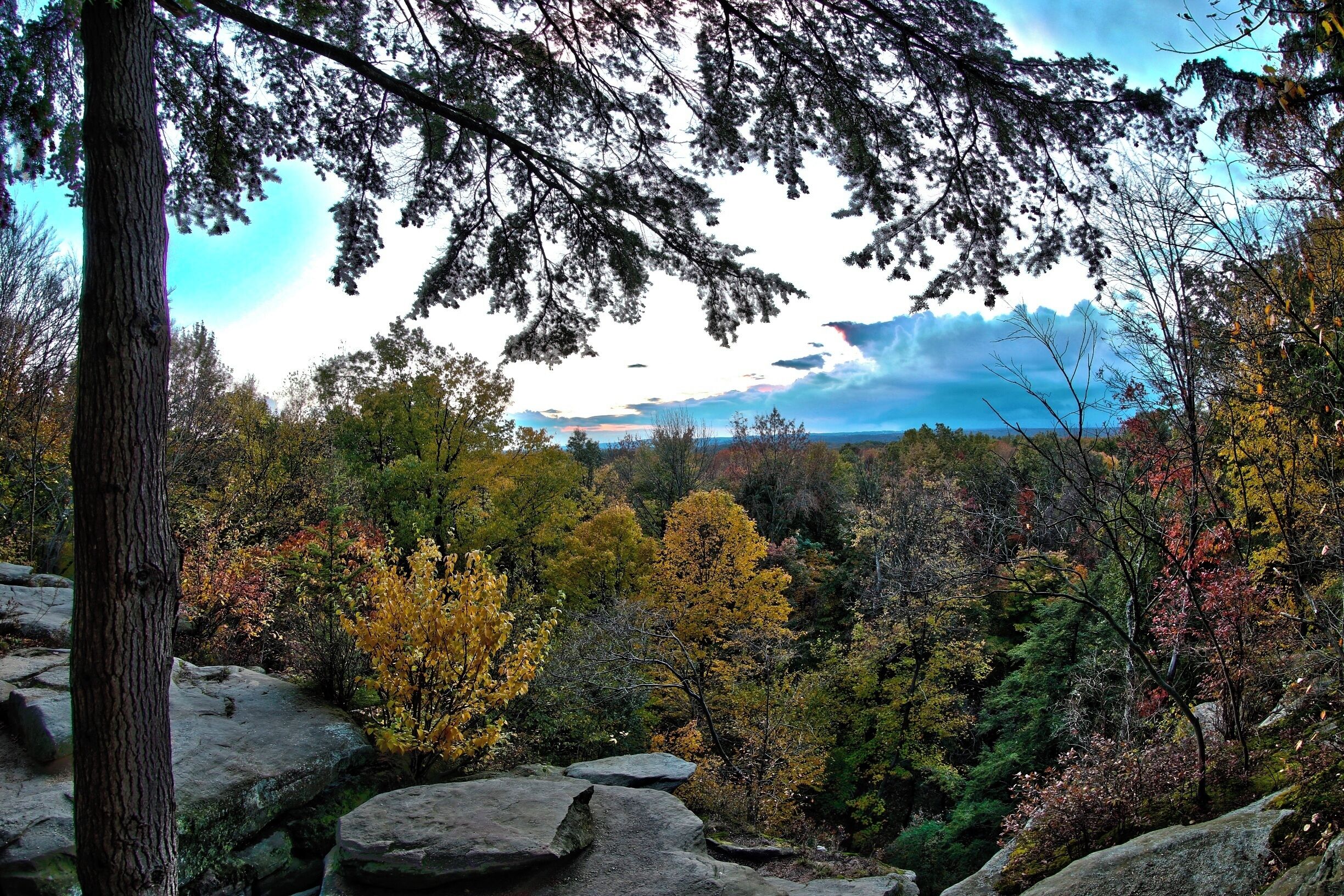 #hiking.. i love hiking being out doors following a trail or just making my own fresh air and the out doors is amazing. i hike every chance i can close to home or travel to find new locations, I'm from akron Ohio but i love to travel this photo was from...one of the many ohio parks to check out 