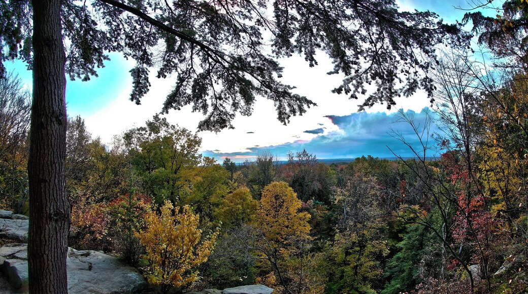 #hiking.. i love hiking being out doors following a trail or just making my own fresh air and the out doors is amazing. i hike every chance i can close to home or travel to find new locations, I'm from akron Ohio but i love to travel this photo was from...one of the many ohio parks to check out