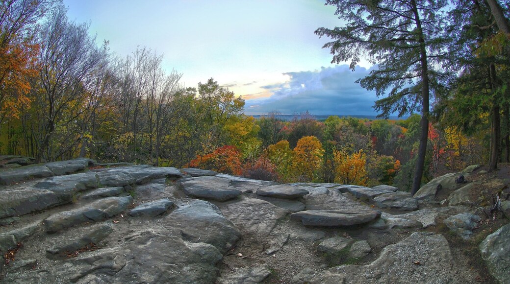 #hiking.. i love hiking being out doors following a trail or just making my own fresh air and the out doors is amazing. i hike every chance i can close to home or travel to find new locations, I'm from akron Ohio but i love to travel this photo was from...one of the many ohio parks to check out