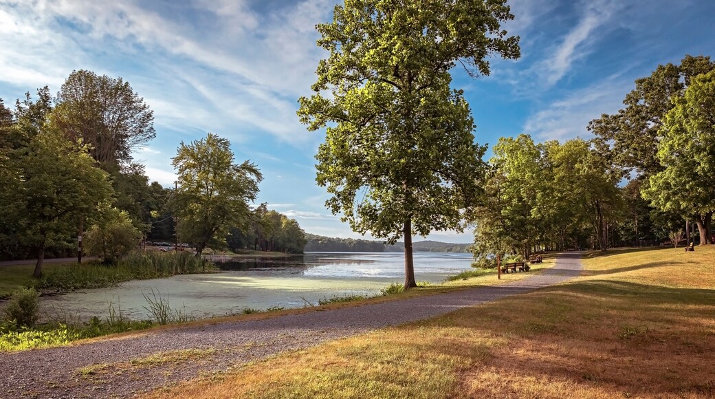 Parque Hudson Springs