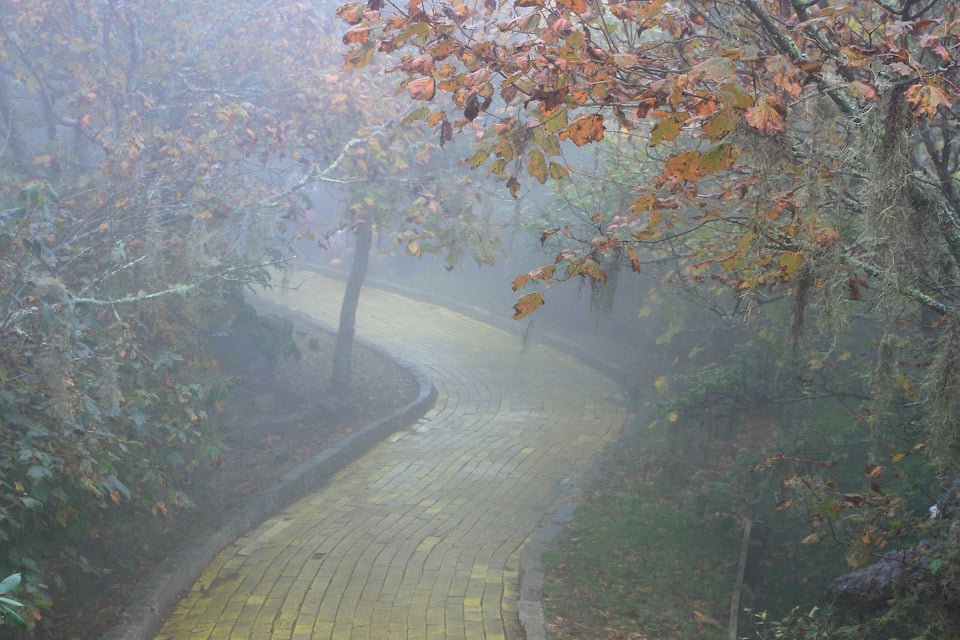 A winding yellow brick pathway through a misty forest with autumn leaves.