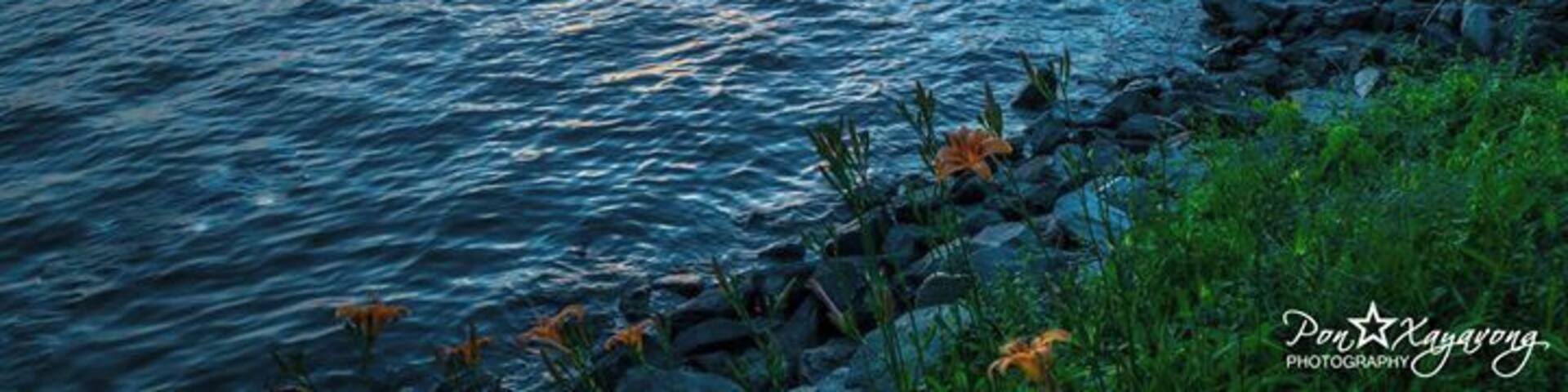 Lake Crabtree during Sunset. Good place to take the family. No entry or parking fees. Boat rentals are available