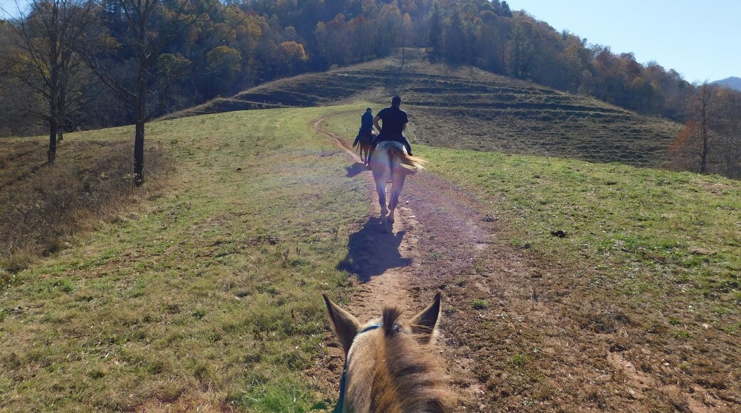 At every turn you have a beautiful panoramic view of scenic mountains, meadows and wooded areas.