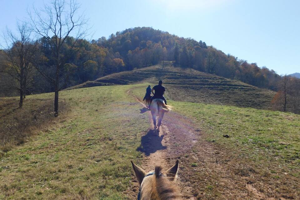 A horse and rider on a dirt path in a hilly area with trees and a clear sky.