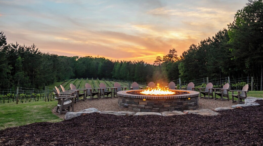 The wineries in Tryon North Carolina are AMAZING! This particular one boasts the largest gas firepit on Western North Carolina. When they fire it up during the cooler months, it is quite the experience to sit next to while you enjoy the sunset. You can also book a winery tour of the area with www.VanInBlack.com as there are a total of five wineries in the region.
