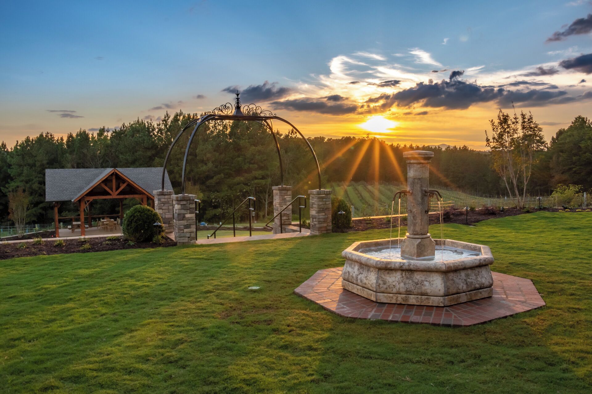Mountain Brook Vineyards is one of five wineries within an 8 mile section of Tryon North Carolina. To learn more about this winery region, please visit:  https://www.tryonwines.com

#Golden