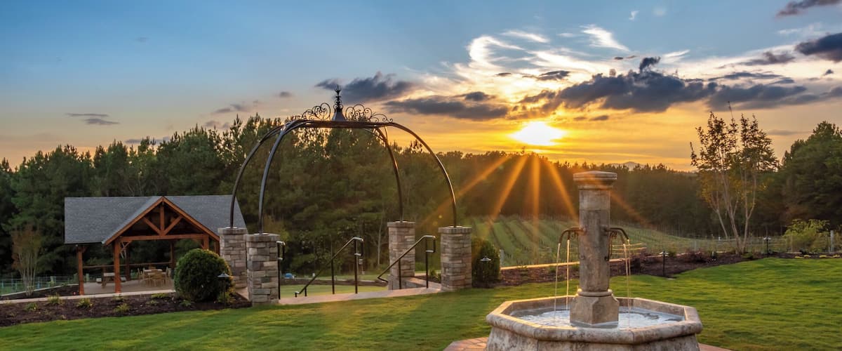 Mountain Brook Vineyards is one of five wineries within an 8 mile section of Tryon North Carolina. To learn more about this winery region, please visit: https://www.tryonwines.com
#Golden