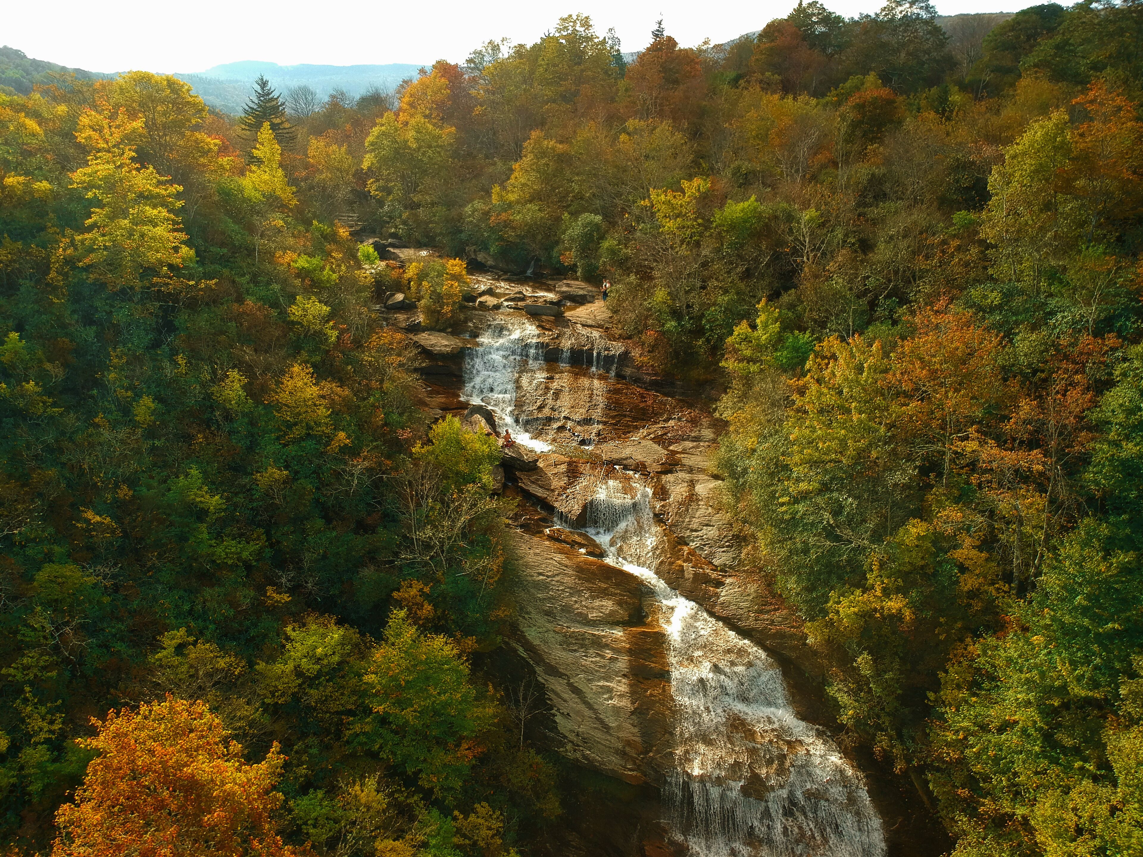 Aerial drone view of Autumn / Fall foliage of River and Waterfall in the Blue Ridge Mountains of Asheville, North Carolina. 