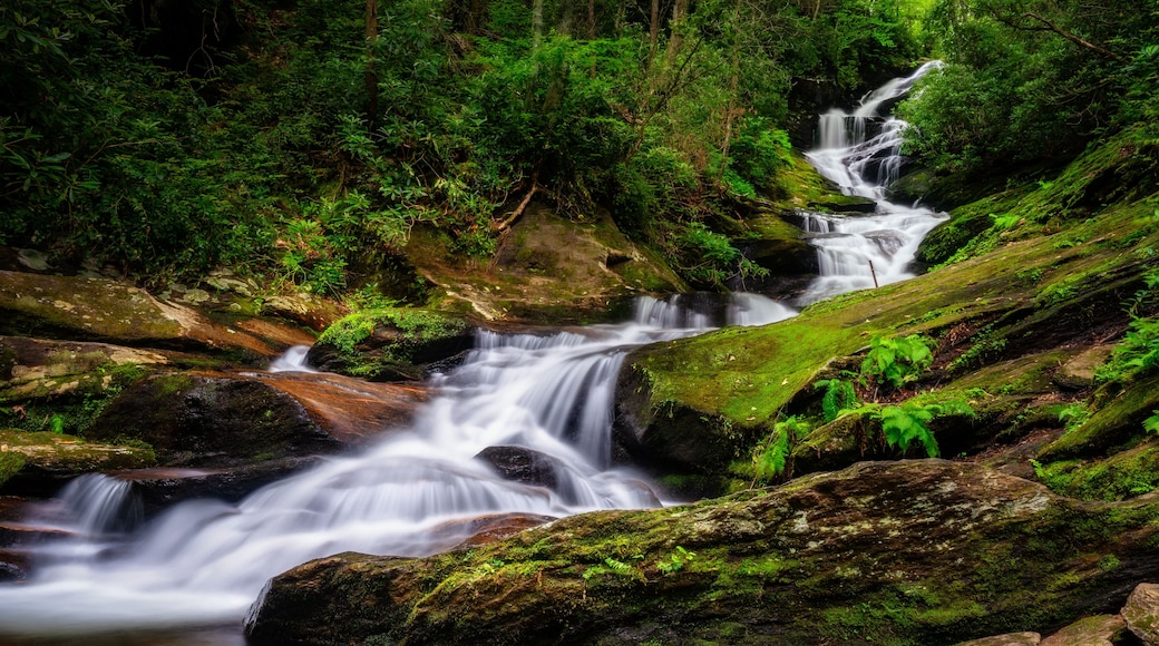 Roaring Fork Waterfalls