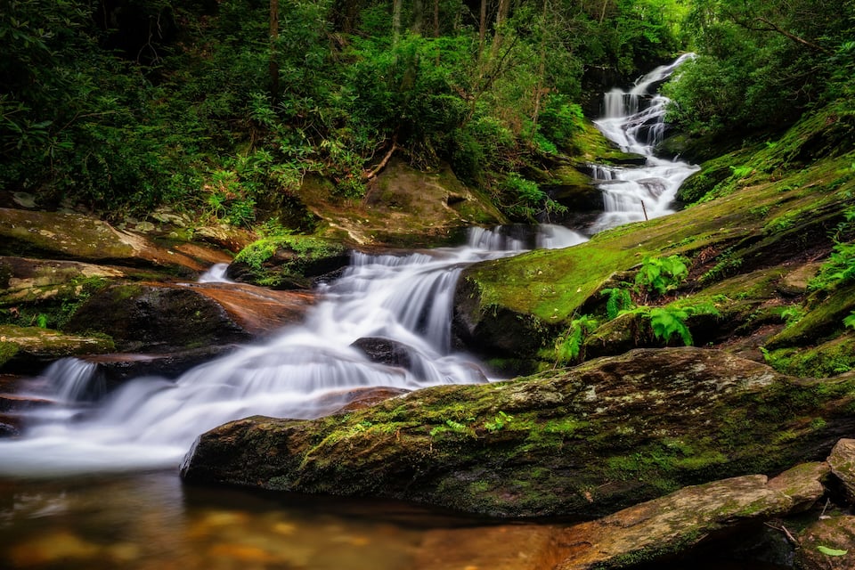 A cascading waterfall in a forested area with moss-covered rocks and lush greenery.