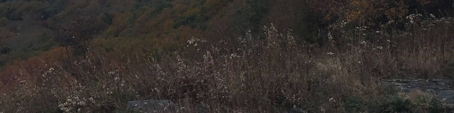 You're driving through the Appalachian mountains, and you stop to get out and see the highway view of the blue ridge parkway. But does this actually let you get an insight to how beautiful the land truly is?No, you have to get out there and find the view that fits for you. That highway view is something that everyone see's just passing through and it isn't special. Getting out into the mountains like this, is one of the many ways that i love to get away from things and get that "me time". I suggest that everyone get out and take some time to get away from technology and become close to nature.