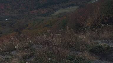 You're driving through the Appalachian mountains, and you stop to get out and see the highway view of the blue ridge parkway. But does this actually let you get an insight to how beautiful the land truly is?No, you have to get out there and find the view that fits for you. That highway view is something that everyone see's just passing through and it isn't special. Getting out into the mountains like this, is one of the many ways that i love to get away from things and get that "me time". I suggest that everyone get out and take some time to get away from technology and become close to nature.