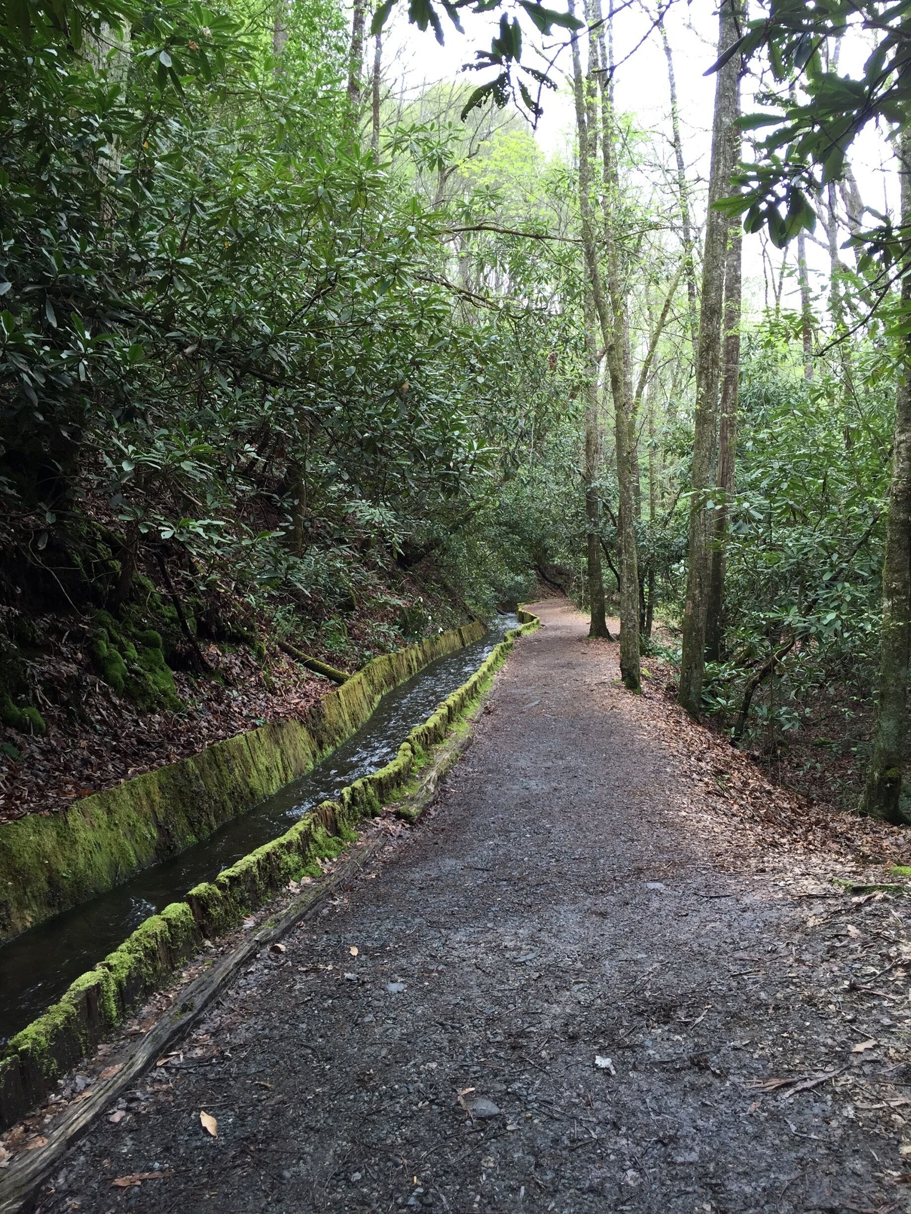 Here you can see the engineering to bring the water to the mill via a canal.  Unseen on the right side of the path is a beautiful river with Rapids. 