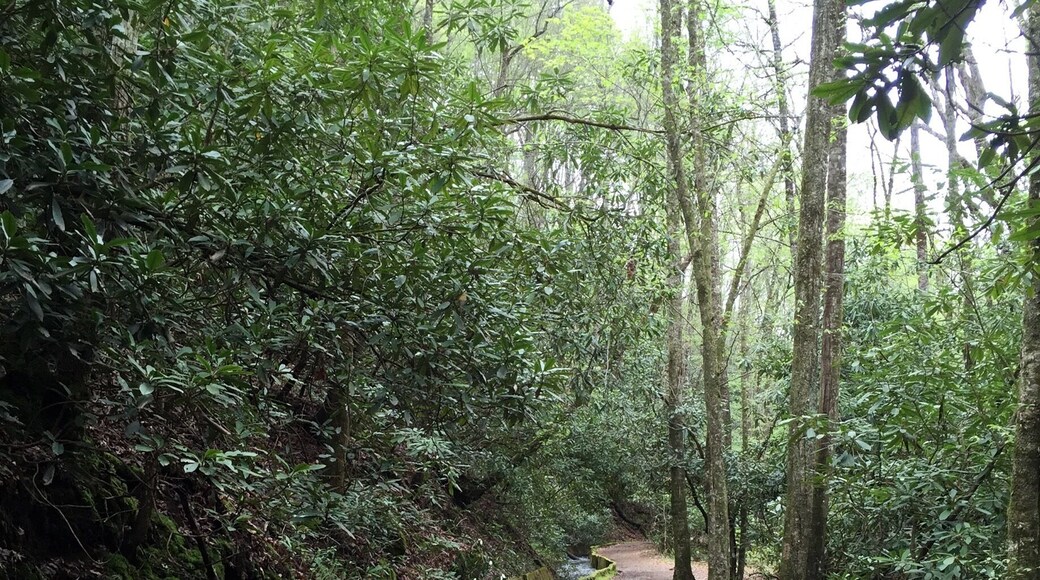 Here you can see the engineering to bring the water to the mill via a canal. Unseen on the right side of the path is a beautiful river with Rapids.