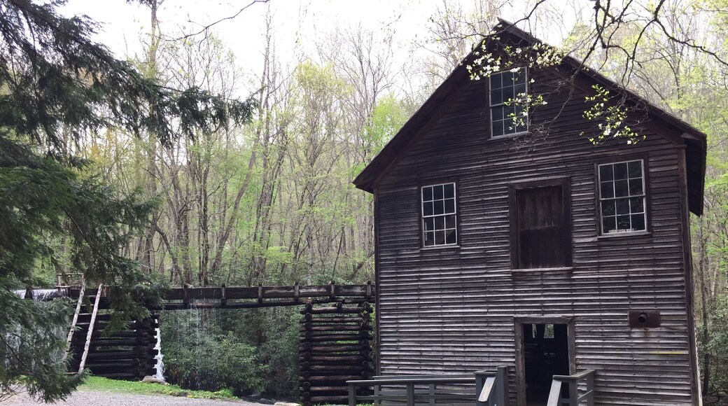 This is an old wheat mill, built 1886, and now preserved by the National Park Service. The walk from the parking lot to the mill is super easy. I would also recommend walking up the easy trail to see how the water is diverted to the mill. An interesting engineering feat that is worth the pleasant walk.