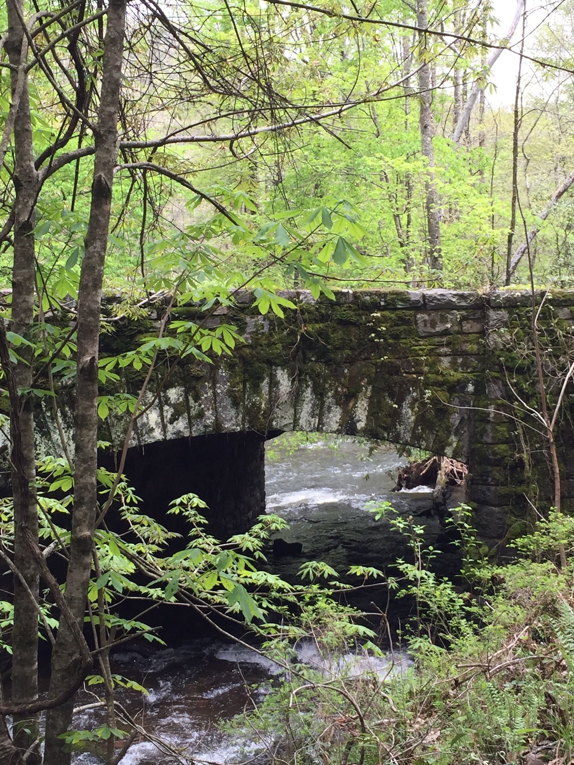 After you cross over the little wooden bridge go away from the mill to the left and you will find this lovely bridge which is also the highway...you just don't notice how pretty it is until you see it from this side.