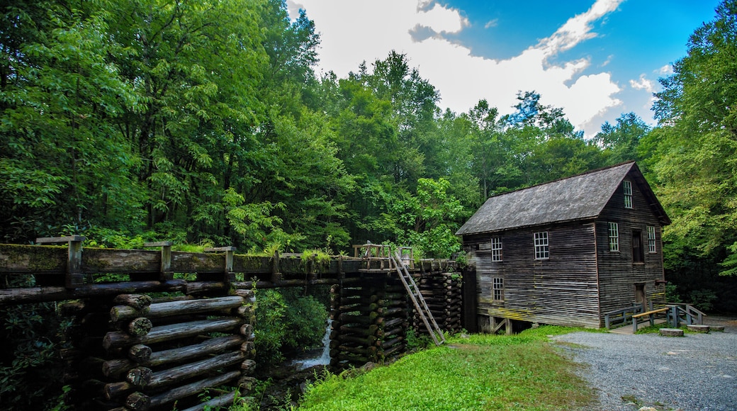 Cherokee_MingusMill_553248621561872212_05