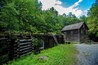 Cherokee_MingusMill_553248621561872212_05