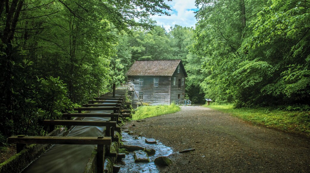 Built in the late 1800's and this beauty is still a working grist mill. For a video guide of this popular destination inside the Great Smoky Mountains National Park, please visit: https://www.hdcarolina.com/episode/mingus-mill