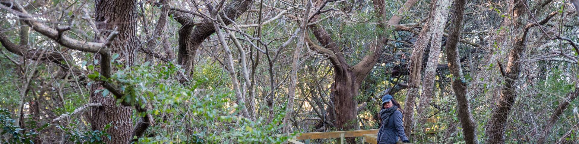 Woman standing on boardwalk in marsh