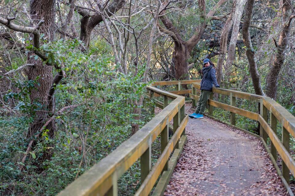 A wooden bridge in a forested area.