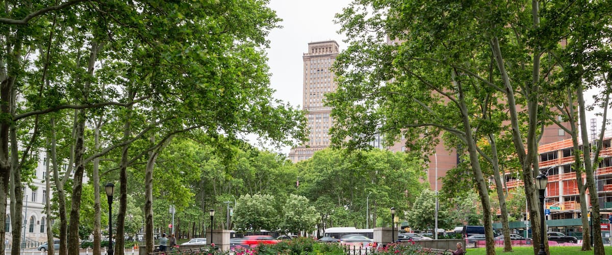 Cadman Plaza Park which includes a park and wildflowers