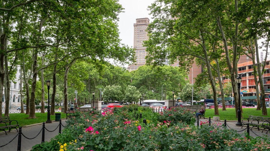 Cadman Plaza Park which includes a park and wildflowers