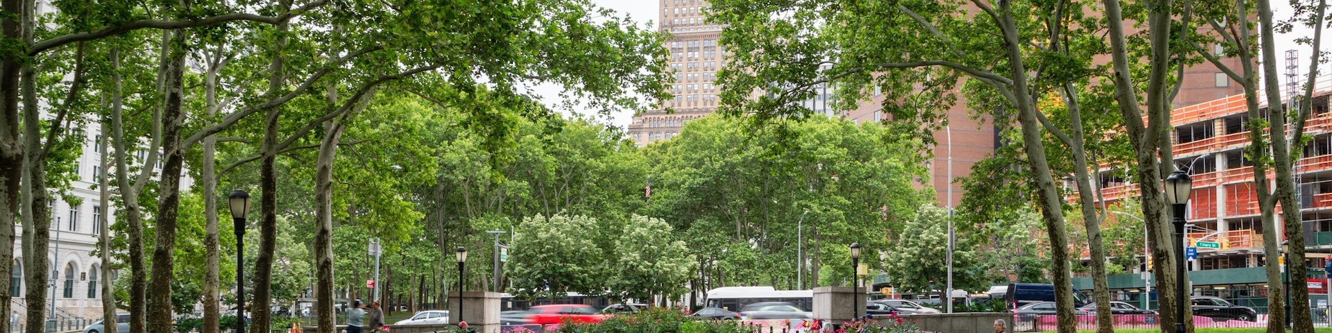 Cadman Plaza Park which includes a park and wildflowers