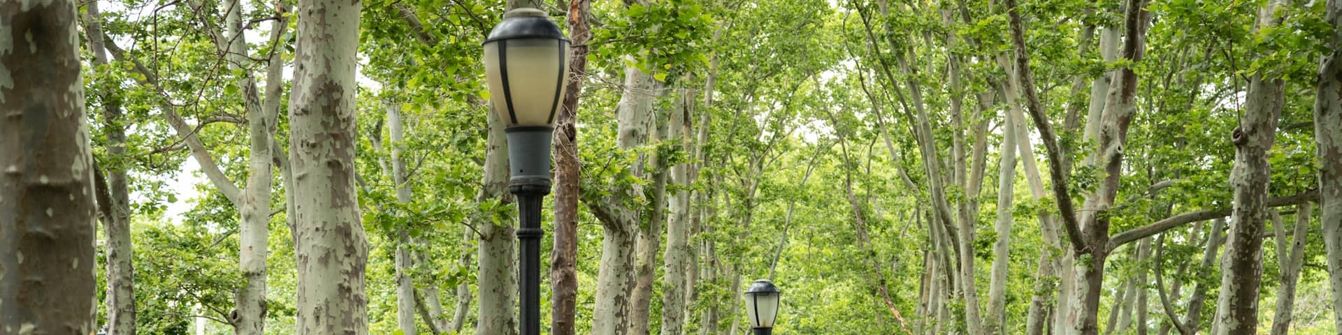 Cadman Plaza Park which includes a park