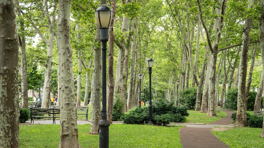 Cadman Plaza Park which includes a park