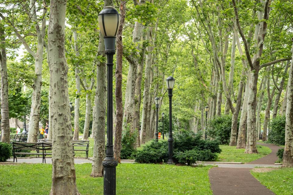 Ein Park mit hohen Bäumen, einem gepflasterten Weg und schwarzen Laternen.