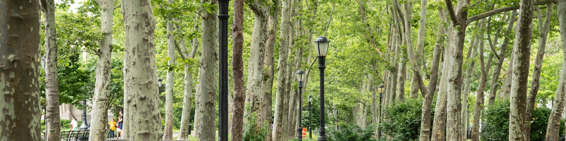 Cadman Plaza Park which includes a park