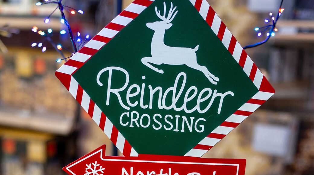 Reindeer Crossing, North Pole, Santas Workshop and Stable Christmas Signpost