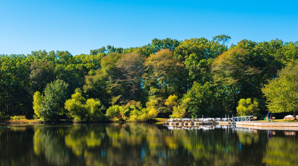 Parque del Pantano de Turquía