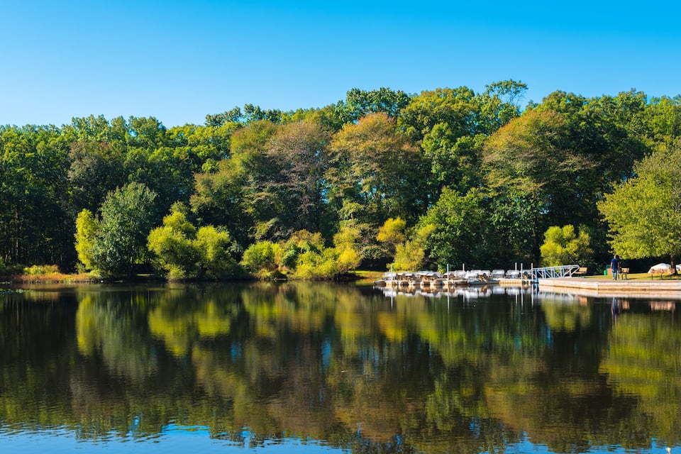 A calm lake with reflections of trees and a dock.