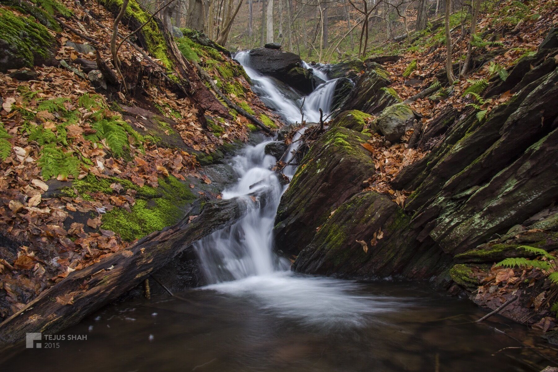 Just off the trail on Douglas Trail!