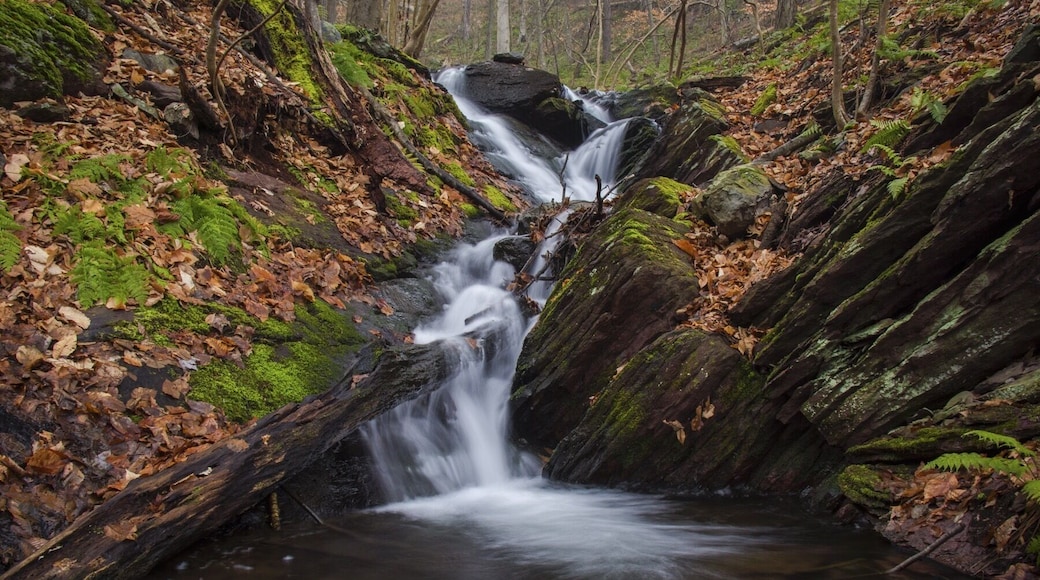 Just off the trail on Douglas Trail!