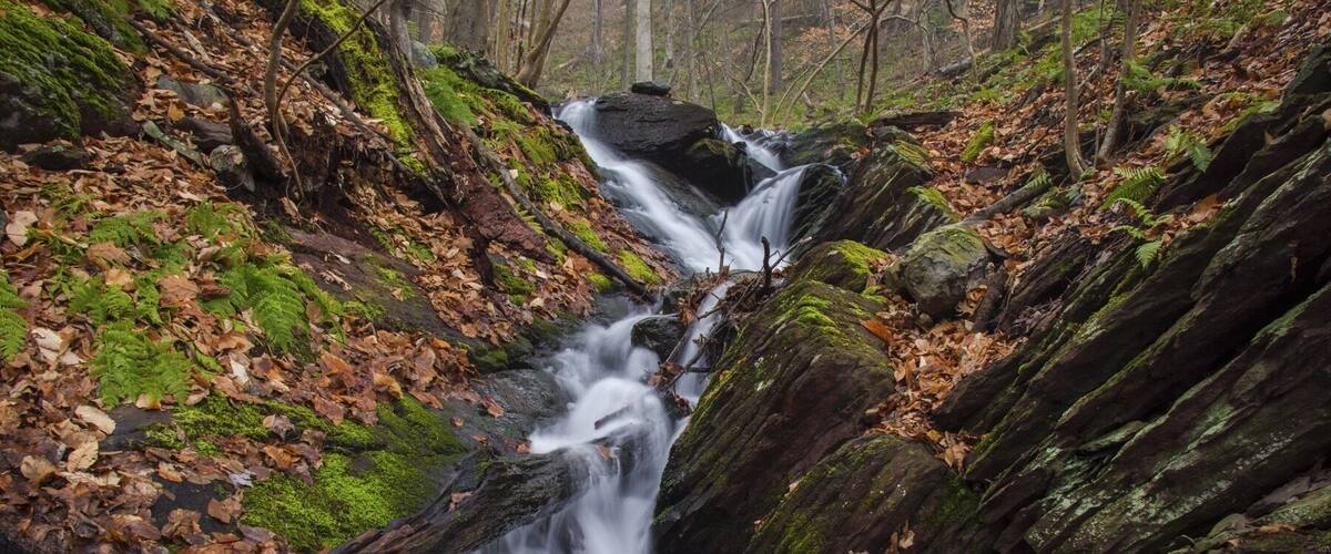 Just off the trail on Douglas Trail!