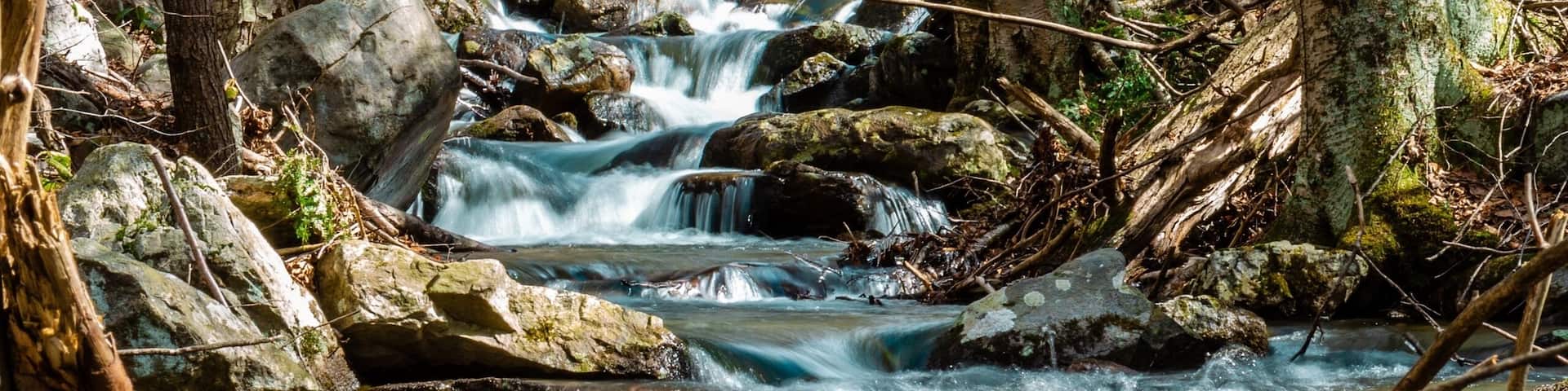Hiking the Appalachian trail on a cold morning
#ontheroad
#nature
#hiking
#roadtrip
#appalachiantrail
