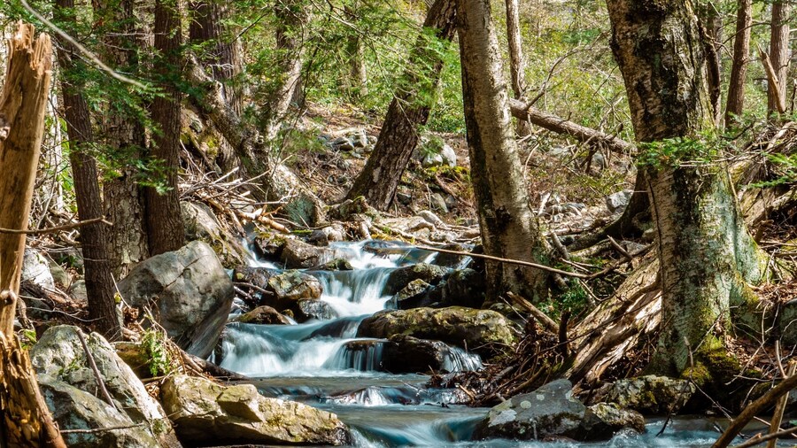 Hiking the Appalachian trail on a cold morning
#ontheroad
#nature
#hiking
#roadtrip
#appalachiantrail