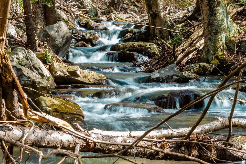 A forest stream with multiple waterfalls, surrounded by trees and rocks.