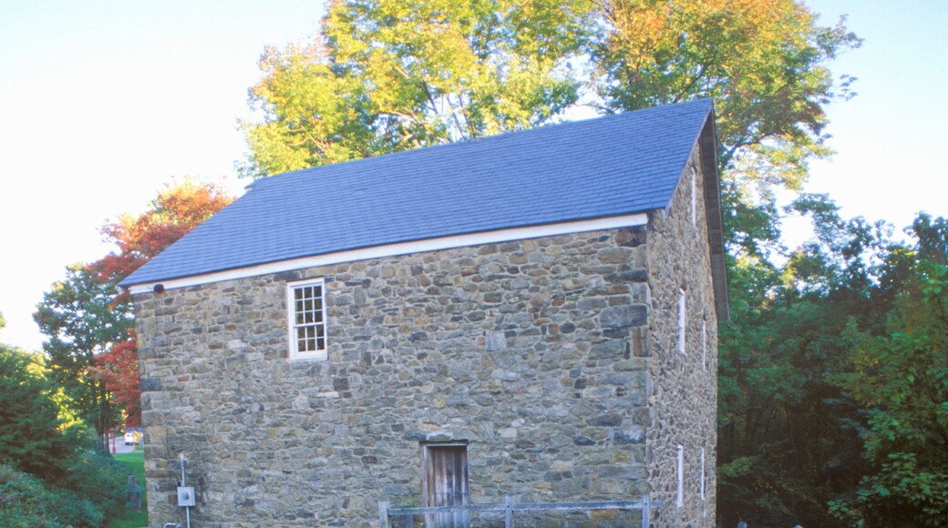 Parque Cooper Gristmill