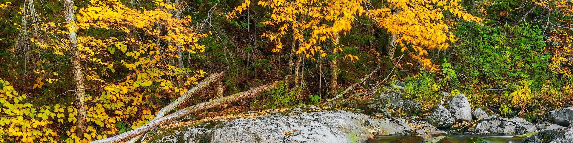 Garfield Fall.Pittsburg.New Hampshire.USA