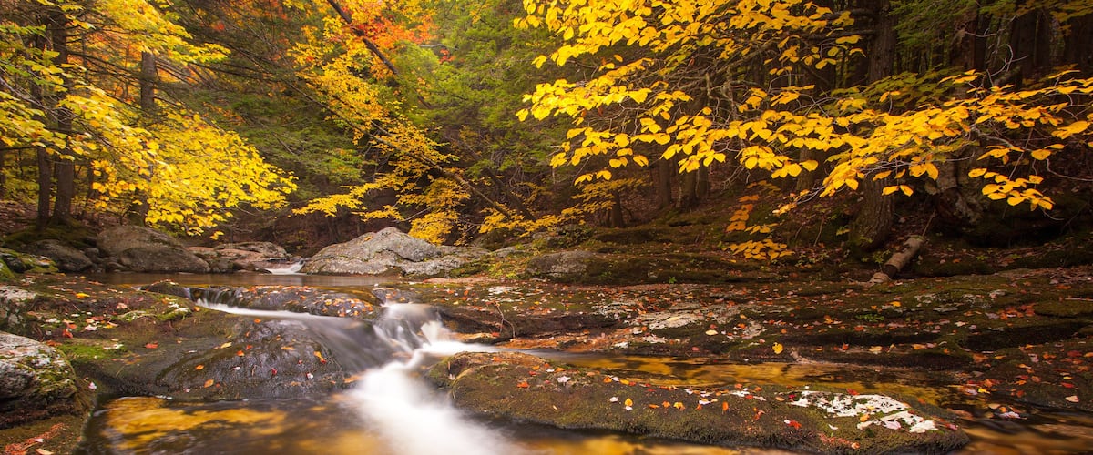 Waterfall cascade in Welton Falls, New Hampshire flowing over rocks with slow shutter speed in the woods with autumn foliage