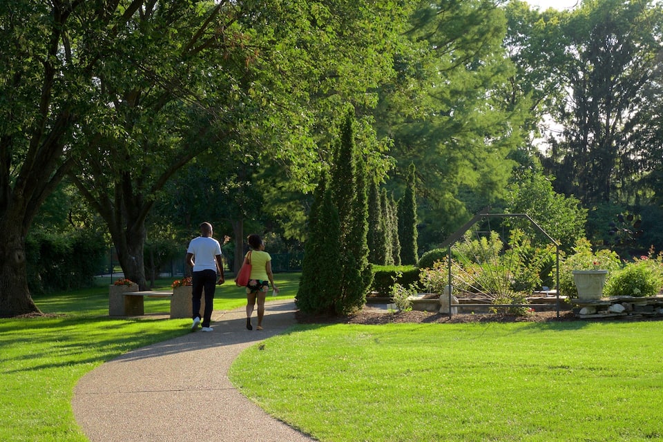 A pathway in a park with trees and a stone wall.