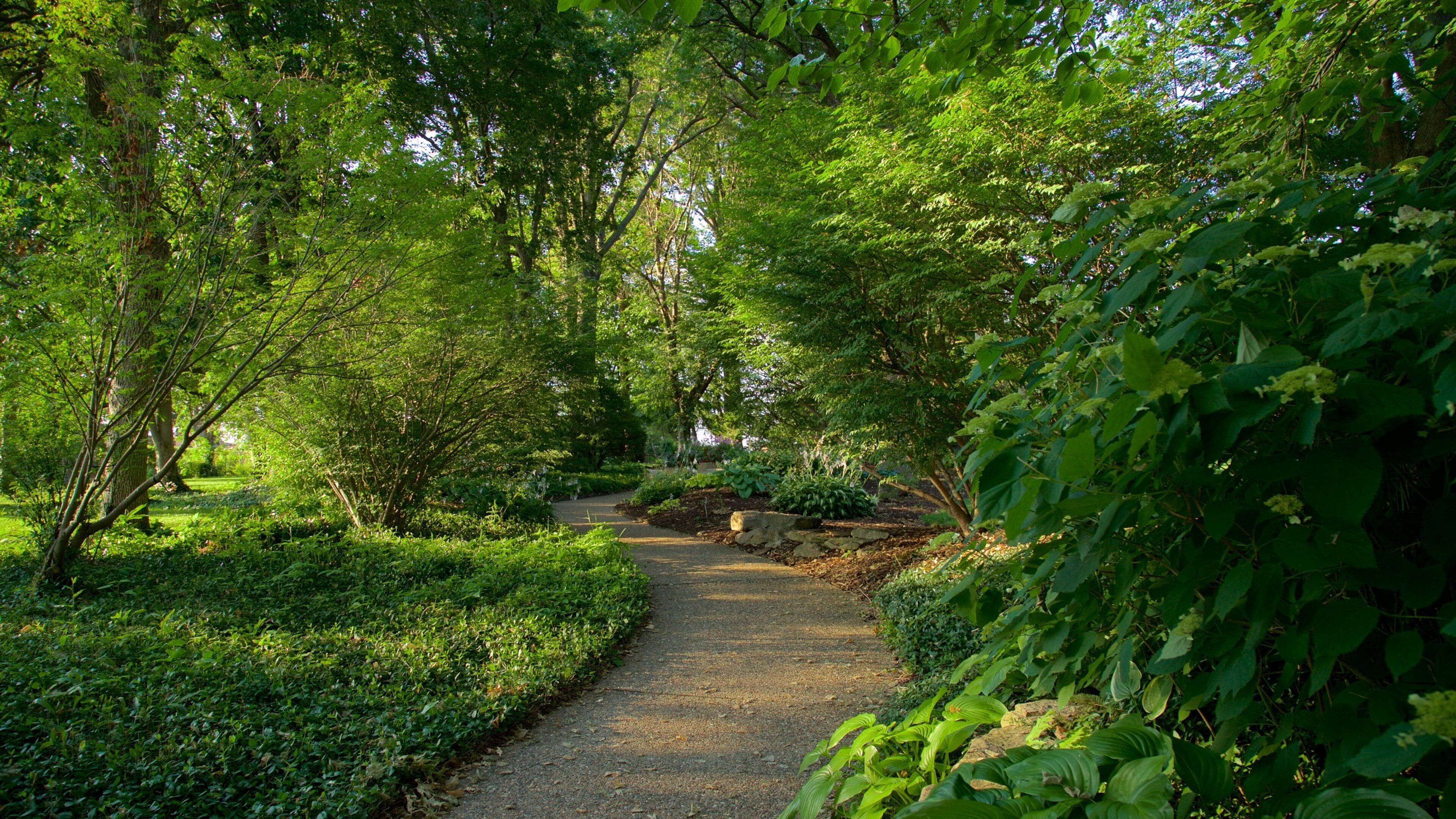 Shelter Gardens which includes a park